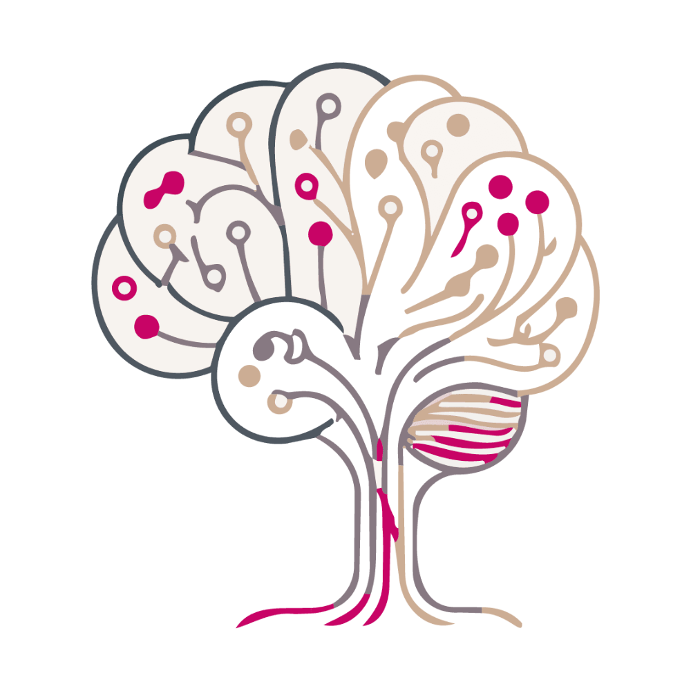 braintree icon